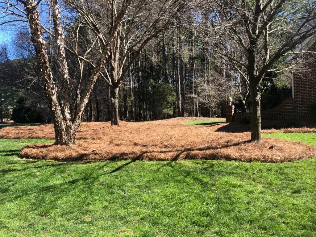 Protect Your Triangle Landscape with Mulch & Pine Straw