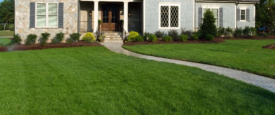 Dark green lawn in New Light, NC, with a walkway leading to a house.